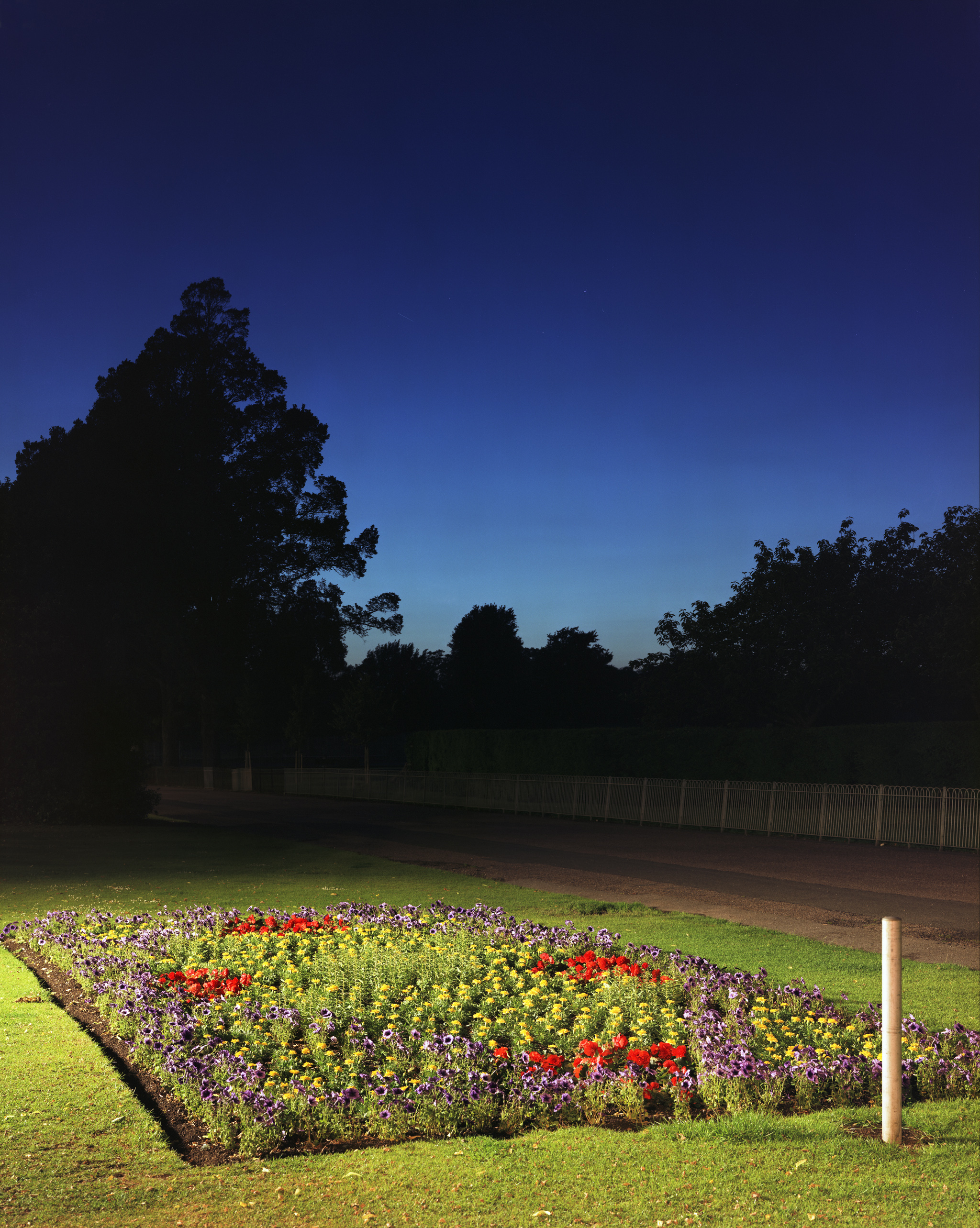 Park2.jpg